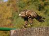 Vor dem Abflug Vor dem Abflug