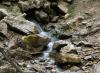 Flie�endes Wasser 2