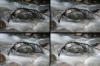 Flie�endes Wasser 3